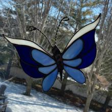 Blue Butterfly