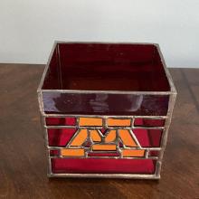 Minnesota Gophers View 1