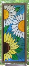 Sunflower Daisy Vertical