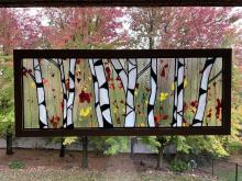 Autumn Birch