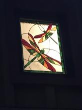 Dragonflies at Night Client Photo