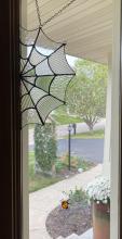 Spider Web